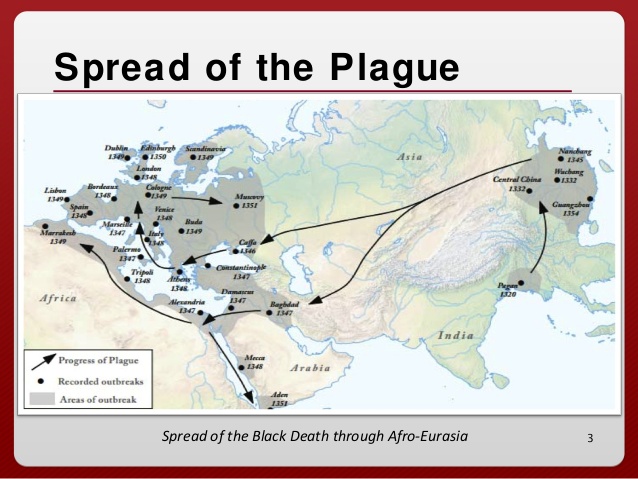understanding-the-black-death-by-stanford-history-education-group-3-638